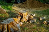 Stump removal work in progress