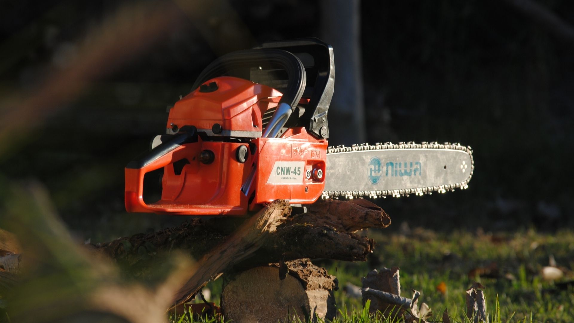SafeDrop Tree Felling team member working on a tree