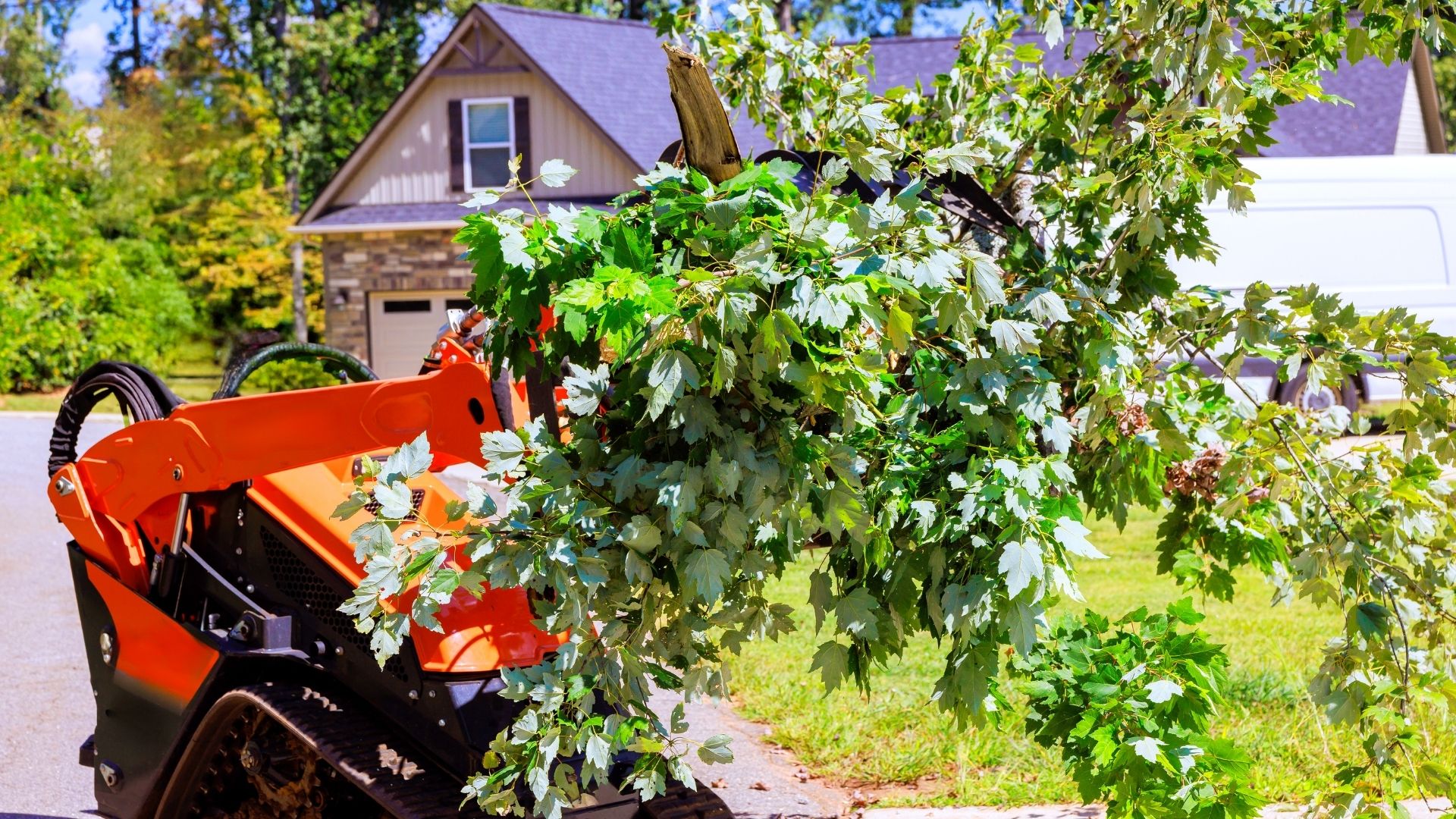 Careful removal of a dangerous or unstable tree